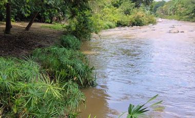 🌿 ¡OPORTUNIDAD ÚNICA! FINCA GANADERA EN VENTA – PIEDRAS, TOLIMA 🏡🐄