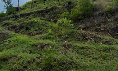 🌿 ¡OPORTUNIDAD ÚNICA! FINCA GANADERA EN VENTA – PIEDRAS, TOLIMA 🏡🐄