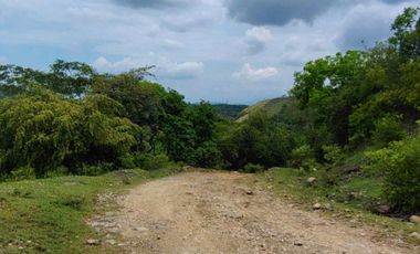 🌿 ¡OPORTUNIDAD ÚNICA! FINCA GANADERA EN VENTA – PIEDRAS, TOLIMA 🏡🐄
