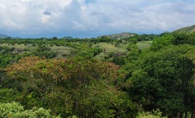🌿 ¡OPORTUNIDAD ÚNICA! FINCA GANADERA EN VENTA – PIEDRAS, TOLIMA 🏡🐄