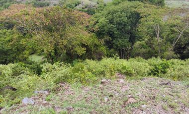 🌿 ¡OPORTUNIDAD ÚNICA! FINCA GANADERA EN VENTA – PIEDRAS, TOLIMA 🏡🐄