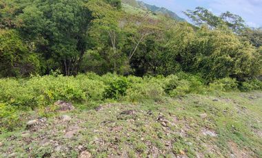🌿 ¡OPORTUNIDAD ÚNICA! FINCA GANADERA EN VENTA – PIEDRAS, TOLIMA 🏡🐄