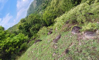 🌿 ¡OPORTUNIDAD ÚNICA! FINCA GANADERA EN VENTA – PIEDRAS, TOLIMA 🏡🐄