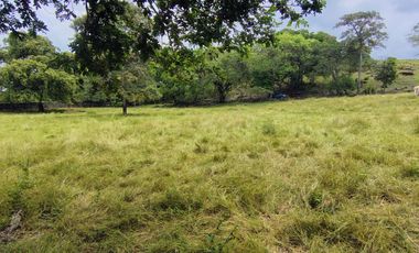 🌿 ¡OPORTUNIDAD ÚNICA! FINCA GANADERA EN VENTA – PIEDRAS, TOLIMA 🏡🐄