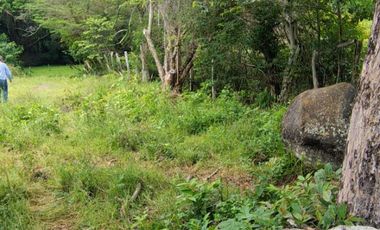 🌿 ¡OPORTUNIDAD ÚNICA! FINCA GANADERA EN VENTA – PIEDRAS, TOLIMA 🏡🐄
