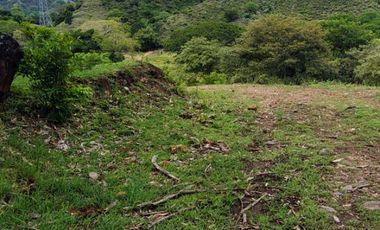 🌿 ¡OPORTUNIDAD ÚNICA! FINCA GANADERA EN VENTA – PIEDRAS, TOLIMA 🏡🐄