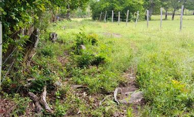 🌿 ¡OPORTUNIDAD ÚNICA! FINCA GANADERA EN VENTA – PIEDRAS, TOLIMA 🏡🐄