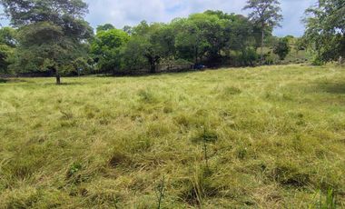 🌿 ¡OPORTUNIDAD ÚNICA! FINCA GANADERA EN VENTA – PIEDRAS, TOLIMA 🏡🐄