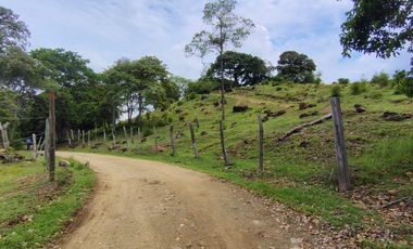 🌿 ¡OPORTUNIDAD ÚNICA! FINCA GANADERA EN VENTA – PIEDRAS, TOLIMA 🏡🐄
