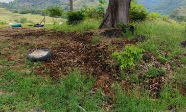 🌿 ¡OPORTUNIDAD ÚNICA! FINCA GANADERA EN VENTA – PIEDRAS, TOLIMA 🏡🐄