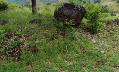 🌿 ¡OPORTUNIDAD ÚNICA! FINCA GANADERA EN VENTA – PIEDRAS, TOLIMA 🏡🐄