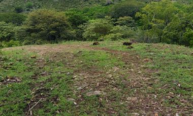 🌿 ¡OPORTUNIDAD ÚNICA! FINCA GANADERA EN VENTA – PIEDRAS, TOLIMA 🏡🐄