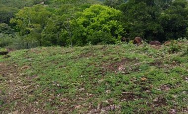 🌿 ¡OPORTUNIDAD ÚNICA! FINCA GANADERA EN VENTA – PIEDRAS, TOLIMA 🏡🐄