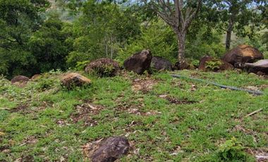 🌿 ¡OPORTUNIDAD ÚNICA! FINCA GANADERA EN VENTA – PIEDRAS, TOLIMA 🏡🐄