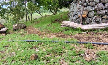 🌿 ¡OPORTUNIDAD ÚNICA! FINCA GANADERA EN VENTA – PIEDRAS, TOLIMA 🏡🐄