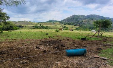 🌿 ¡OPORTUNIDAD ÚNICA! FINCA GANADERA EN VENTA – PIEDRAS, TOLIMA 🏡🐄