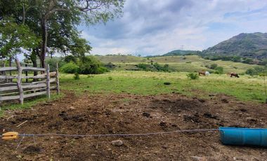 🌿 ¡OPORTUNIDAD ÚNICA! FINCA GANADERA EN VENTA – PIEDRAS, TOLIMA 🏡🐄