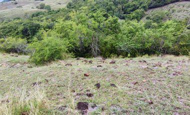 🌿 ¡OPORTUNIDAD ÚNICA! FINCA GANADERA EN VENTA – PIEDRAS, TOLIMA 🏡🐄