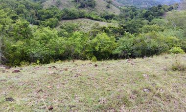 🌿 ¡OPORTUNIDAD ÚNICA! FINCA GANADERA EN VENTA – PIEDRAS, TOLIMA 🏡🐄