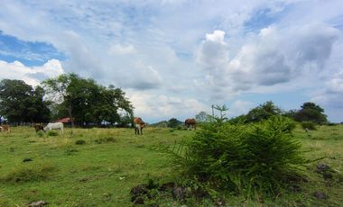 🌿 ¡OPORTUNIDAD ÚNICA! FINCA GANADERA EN VENTA – PIEDRAS, TOLIMA 🏡🐄