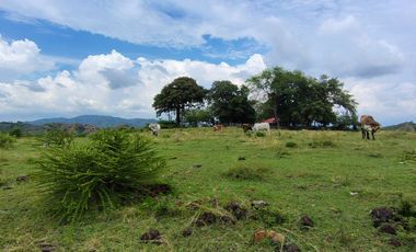 🌿 ¡OPORTUNIDAD ÚNICA! FINCA GANADERA EN VENTA – PIEDRAS, TOLIMA 🏡🐄