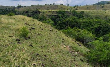 🌿 ¡OPORTUNIDAD ÚNICA! FINCA GANADERA EN VENTA – PIEDRAS, TOLIMA 🏡🐄