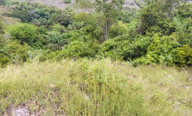 🌿 ¡OPORTUNIDAD ÚNICA! FINCA GANADERA EN VENTA – PIEDRAS, TOLIMA 🏡🐄