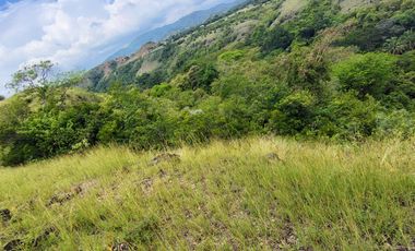 🌿 ¡OPORTUNIDAD ÚNICA! FINCA GANADERA EN VENTA – PIEDRAS, TOLIMA 🏡🐄