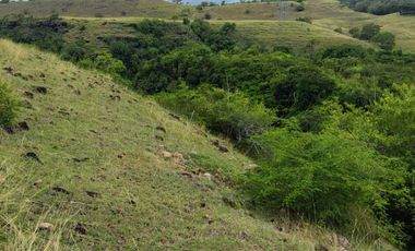 🌿 ¡OPORTUNIDAD ÚNICA! FINCA GANADERA EN VENTA – PIEDRAS, TOLIMA 🏡🐄