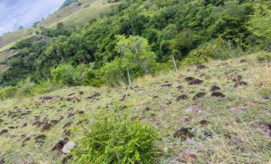 🌿 ¡OPORTUNIDAD ÚNICA! FINCA GANADERA EN VENTA – PIEDRAS, TOLIMA 🏡🐄