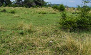 🌿 ¡OPORTUNIDAD ÚNICA! FINCA GANADERA EN VENTA – PIEDRAS, TOLIMA 🏡🐄