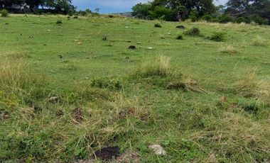 🌿 ¡OPORTUNIDAD ÚNICA! FINCA GANADERA EN VENTA – PIEDRAS, TOLIMA 🏡🐄