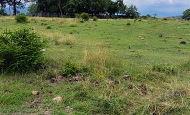 🌿 ¡OPORTUNIDAD ÚNICA! FINCA GANADERA EN VENTA – PIEDRAS, TOLIMA 🏡🐄