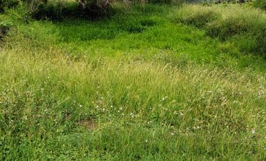 🌿 ¡OPORTUNIDAD ÚNICA! FINCA GANADERA EN VENTA – PIEDRAS, TOLIMA 🏡🐄