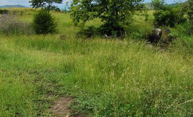 🌿 ¡OPORTUNIDAD ÚNICA! FINCA GANADERA EN VENTA – PIEDRAS, TOLIMA 🏡🐄