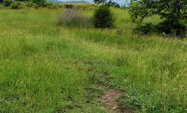 🌿 ¡OPORTUNIDAD ÚNICA! FINCA GANADERA EN VENTA – PIEDRAS, TOLIMA 🏡🐄