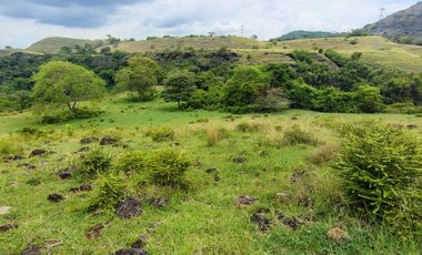 🌿 ¡OPORTUNIDAD ÚNICA! FINCA GANADERA EN VENTA – PIEDRAS, TOLIMA 🏡🐄