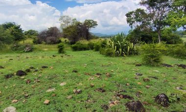 🌿 ¡OPORTUNIDAD ÚNICA! FINCA GANADERA EN VENTA – PIEDRAS, TOLIMA 🏡🐄