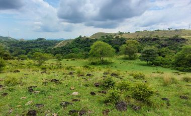🌿 ¡OPORTUNIDAD ÚNICA! FINCA GANADERA EN VENTA – PIEDRAS, TOLIMA 🏡🐄