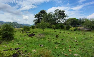 🌿 ¡OPORTUNIDAD ÚNICA! FINCA GANADERA EN VENTA – PIEDRAS, TOLIMA 🏡🐄