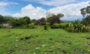 🌿 ¡OPORTUNIDAD ÚNICA! FINCA GANADERA EN VENTA – PIEDRAS, TOLIMA 🏡🐄