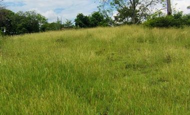 🌿 ¡OPORTUNIDAD ÚNICA! FINCA GANADERA EN VENTA – PIEDRAS, TOLIMA 🏡🐄