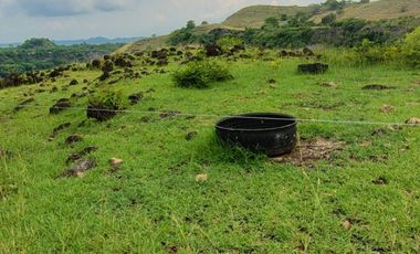 🌿 ¡OPORTUNIDAD ÚNICA! FINCA GANADERA EN VENTA – PIEDRAS, TOLIMA 🏡🐄