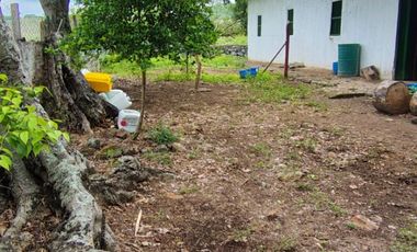 🌿 ¡OPORTUNIDAD ÚNICA! FINCA GANADERA EN VENTA – PIEDRAS, TOLIMA 🏡🐄
