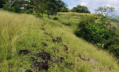 🌿 ¡OPORTUNIDAD ÚNICA! FINCA GANADERA EN VENTA – PIEDRAS, TOLIMA 🏡🐄