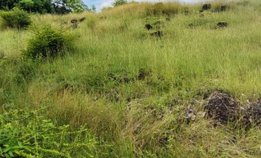 🌿 ¡OPORTUNIDAD ÚNICA! FINCA GANADERA EN VENTA – PIEDRAS, TOLIMA 🏡🐄