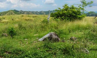 🌿 ¡OPORTUNIDAD ÚNICA! FINCA GANADERA EN VENTA – PIEDRAS, TOLIMA 🏡🐄