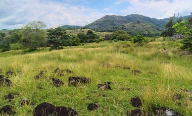 🌿 ¡OPORTUNIDAD ÚNICA! FINCA GANADERA EN VENTA – PIEDRAS, TOLIMA 🏡🐄