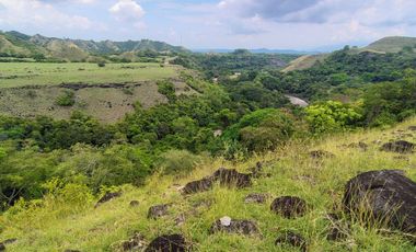 🌿 ¡OPORTUNIDAD ÚNICA! FINCA GANADERA EN VENTA – PIEDRAS, TOLIMA 🏡🐄