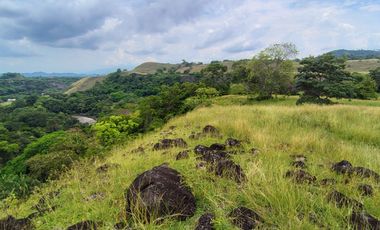 🌿 ¡OPORTUNIDAD ÚNICA! FINCA GANADERA EN VENTA – PIEDRAS, TOLIMA 🏡🐄